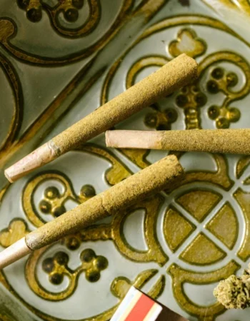 Cannexus Melkbosstrand